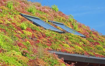 Newbottle living roof systems