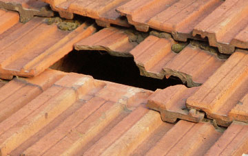 roof repair Newbottle